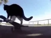 321 emote for Discord