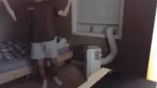 3dannythankyou emote for Discord