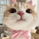 333 emote for Discord