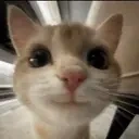 33 emote for Discord