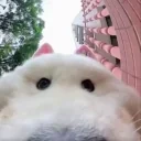 456 emote for Discord