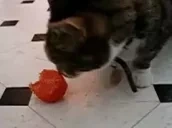 4elovekkun emote for Discord