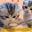 452ebcfe4c715acb9d917f43b10420a0 emote for Discord