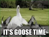 4mj4kl emote for Discord