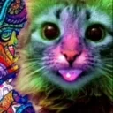 420Cat emote for Discord