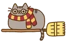 4HarryCat emote for Discord
