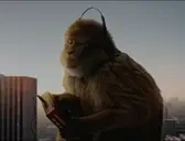 4x4Jam emote for Discord