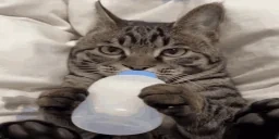 505un emote for Discord