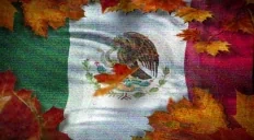 52 emote for Discord