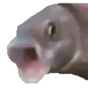 555 emote for Discord