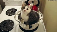 5upchik emote for Discord