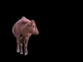 4104eb704f5f4b5d8ef7f8fcd69d0f90 emote for Discord