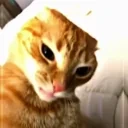 5339266079803844245 emote for Discord