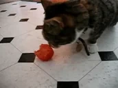 4elovekkun emote for Discord