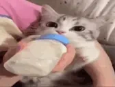 505unok emote for Discord