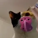 5051 emote for Discord