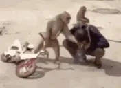 566 emote for Discord