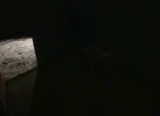 500godzin emote for Discord