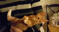 505 emote for Discord