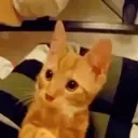 505 emote for Discord