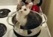 5upchik emote for Discord