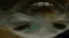 6uippx emote for Discord