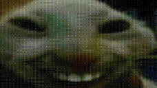 adhdd emote for Discord