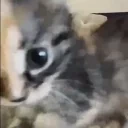 adsad emote for Discord