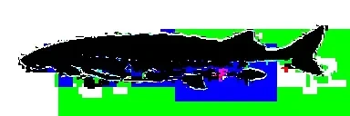 Adam emote for Discord