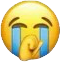 SON emote for Discord