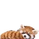 ADs emote for Discord