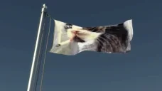 adiioseflag emote for Discord