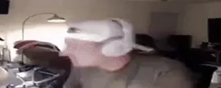 adenYAPPERS emote for Discord