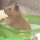 Adri_Mrt emote for Discord