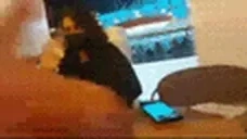 adeLike emote for Discord