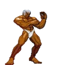 AegisReflector emote for Discord