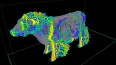 AeroCow emote for Discord