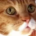 aeow emote for Discord