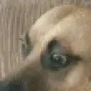 afk emote for Discord