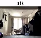 AFK emote for Discord