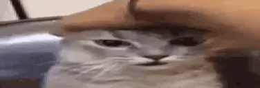 afk emote for Discord