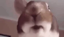 aga emote for Discord