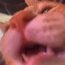 Again emote for Discord