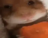 aga emote for Discord