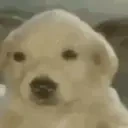 aga emote for Discord