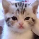 agitated emote for Discord