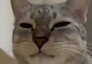 aga2 emote for Discord