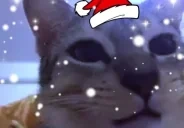 aga emote for Discord