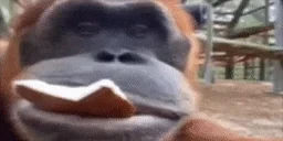 Agree emote for Discord