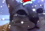 aga emote for Discord